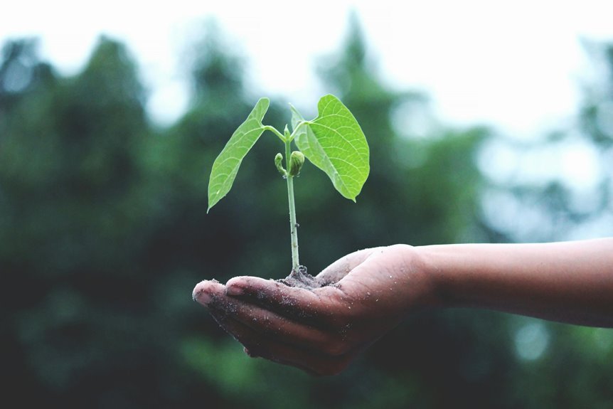 nippon india growth fund