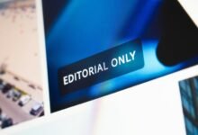 submission purpose and details